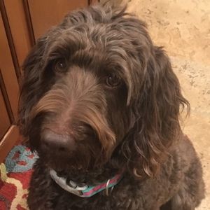 Meet your Posher, Leah